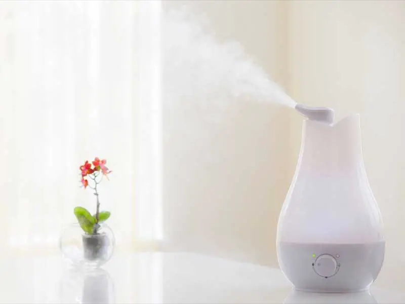 Can You Use Water In A Humidifier