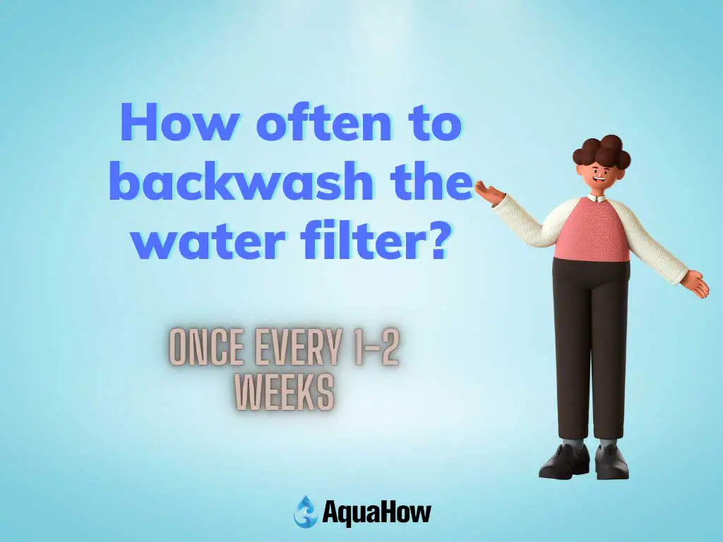 How often to backwash the water filter