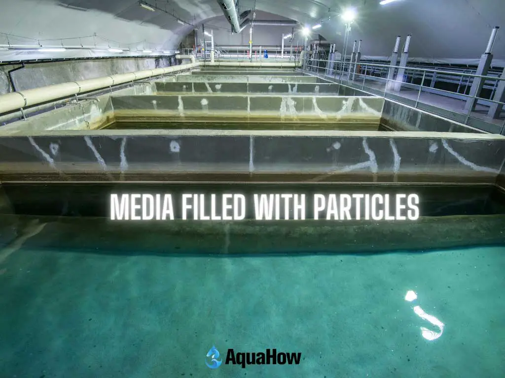 Media filled with particles