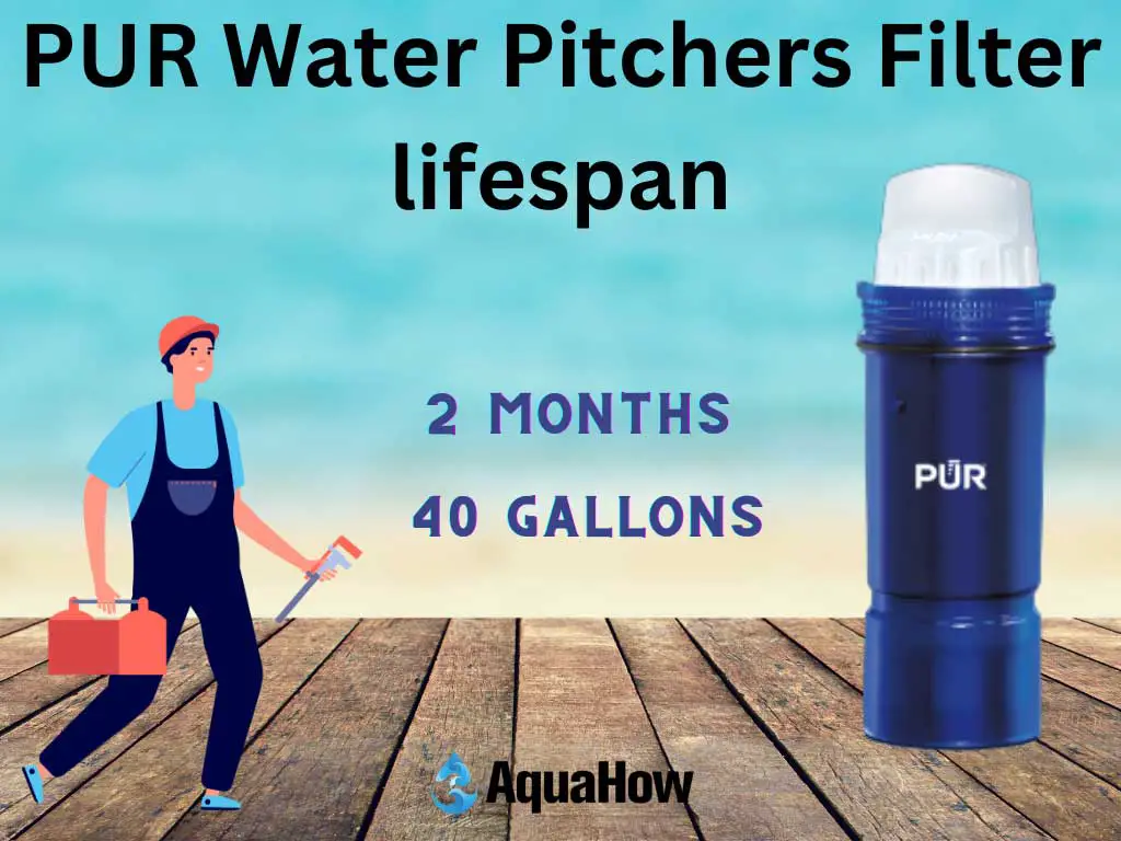 PUR Water Pitchers Filter lifespan